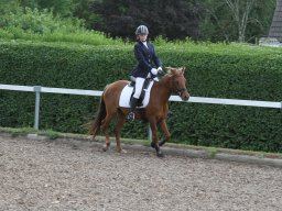 img_4646_web